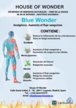 Blue Wonder